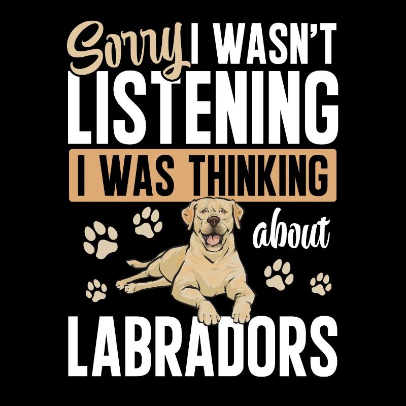 Yellow Labrador Retriever