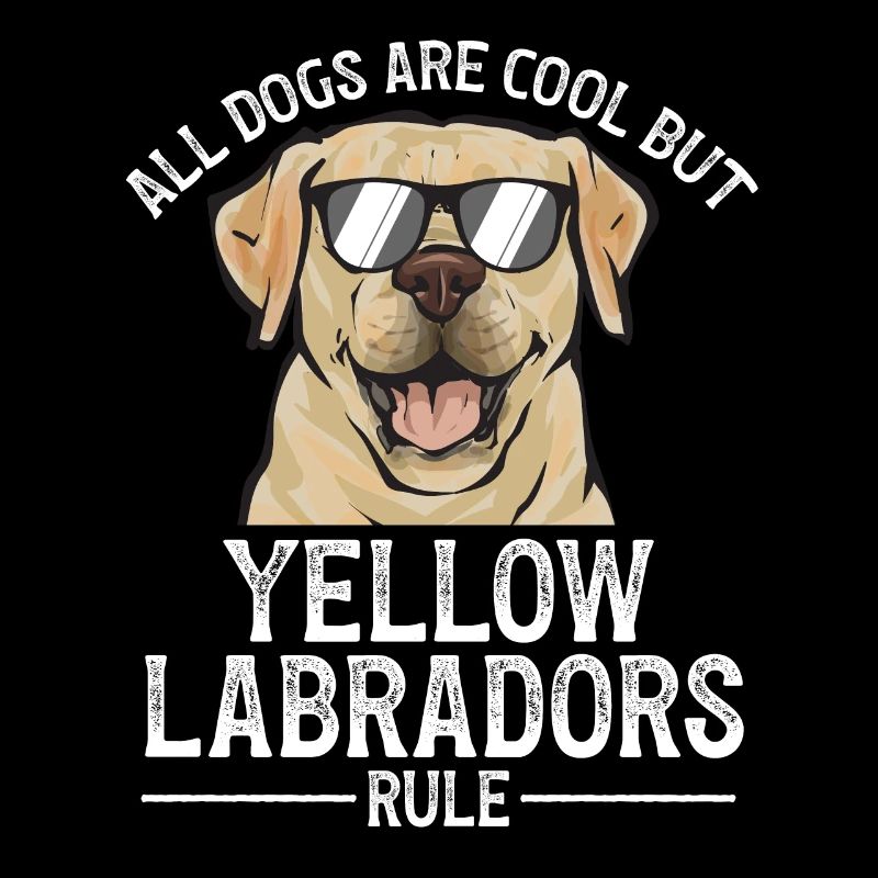 Yellow Labrador Retriever