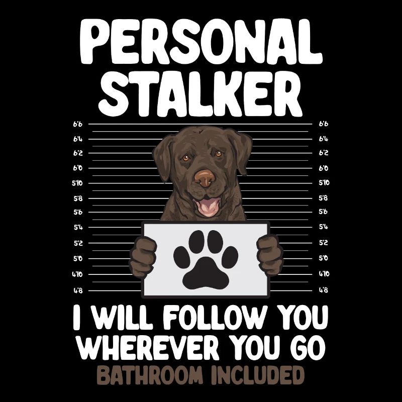 Schoko Brauner Labrador Retriever Hund