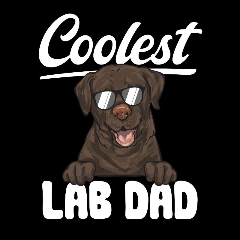 Schoko Brauner Labrador Retriever Hund