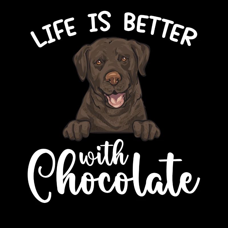 Schoko Brauner Labrador Retriever Hund