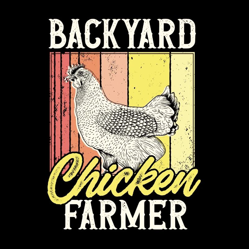 chicken breeder rooster hen backyard chickens