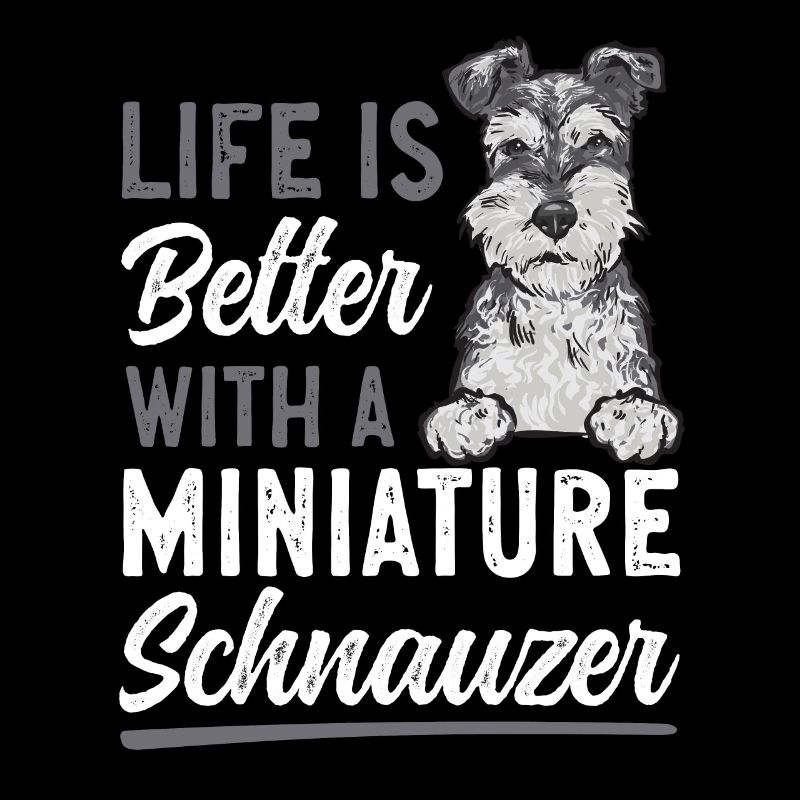Schnauzer nain Chien Schnauzer