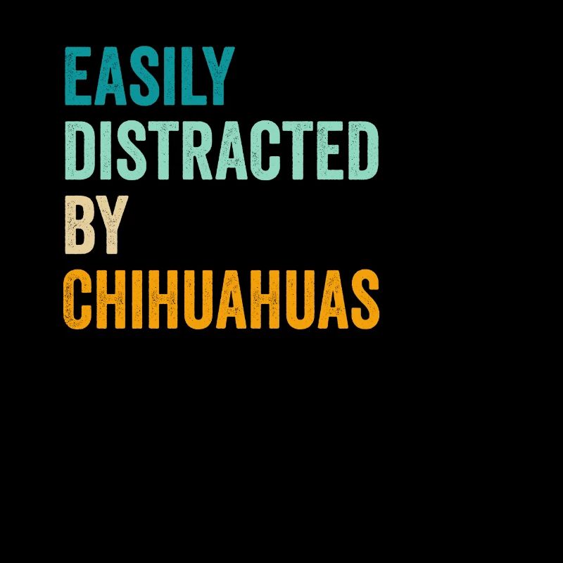 Facilement distrait par les chihuahuas