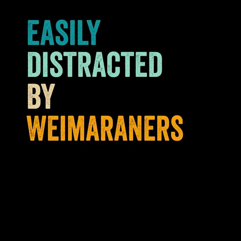 Facilement distrait par les Weimaraners