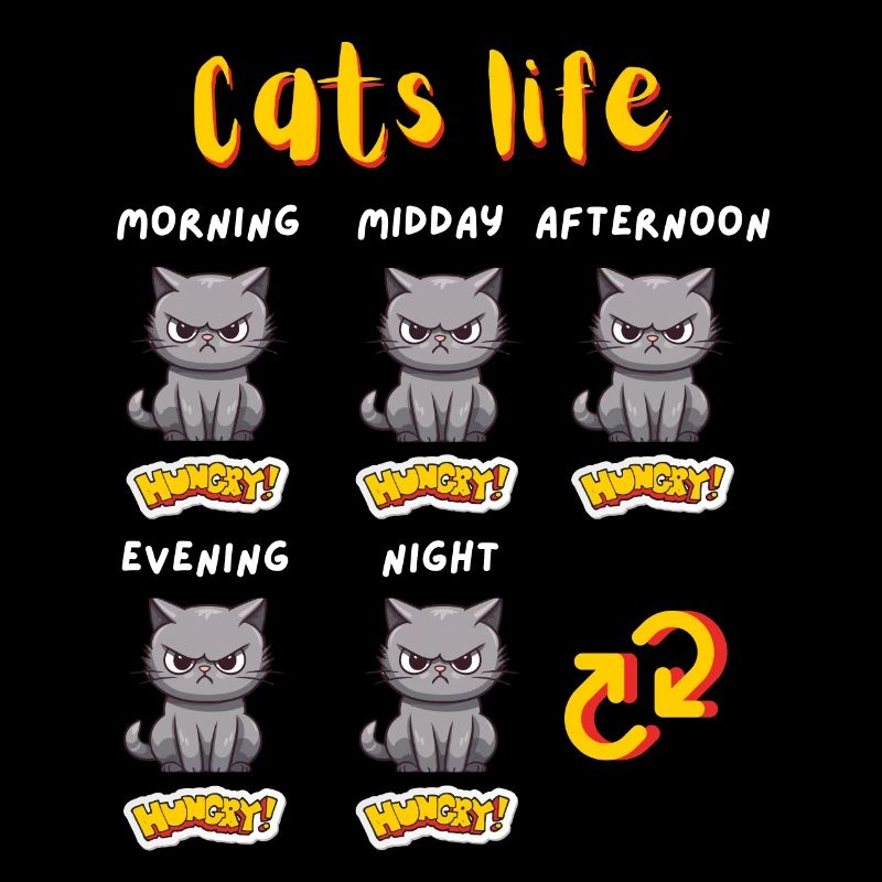 La vie du chat