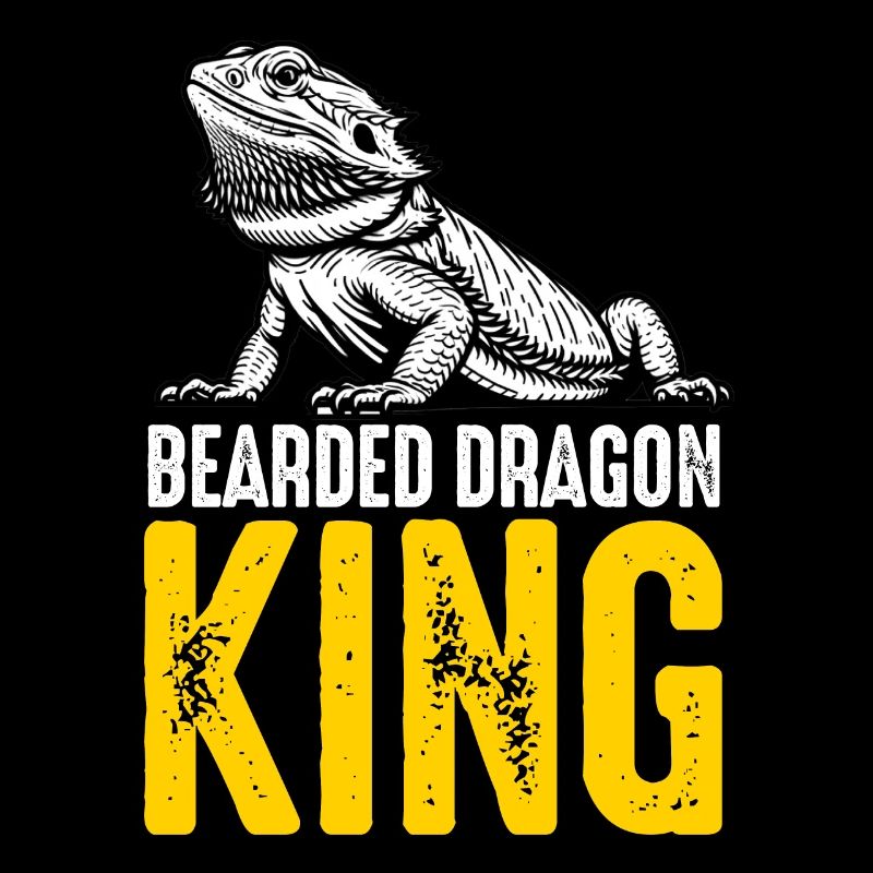 Bartagamen Männer Frauen Mädchen Kinder Pogona Eidechse