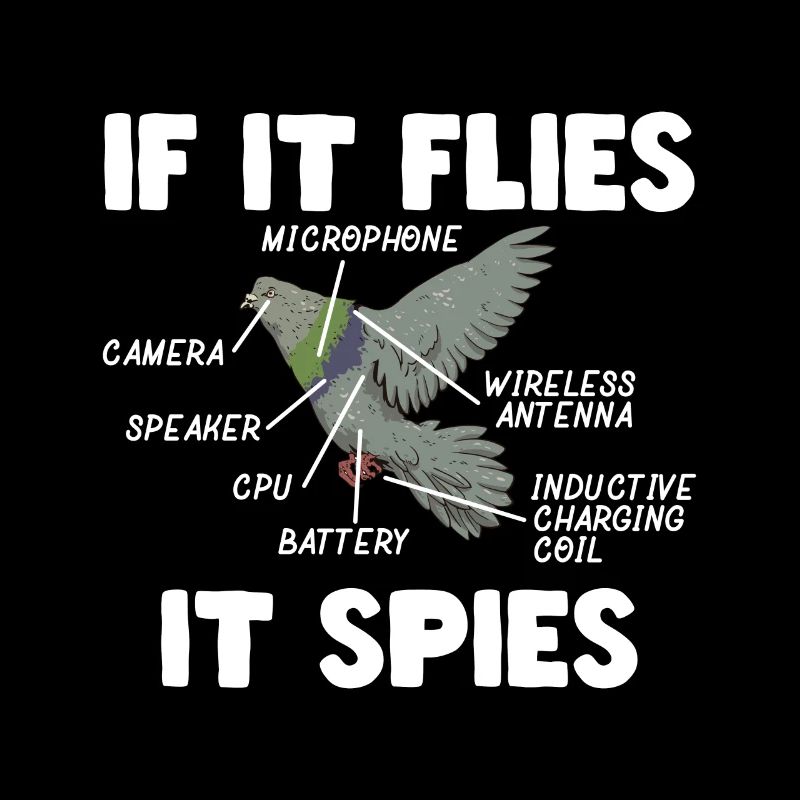 Funny It Flies It Spies
