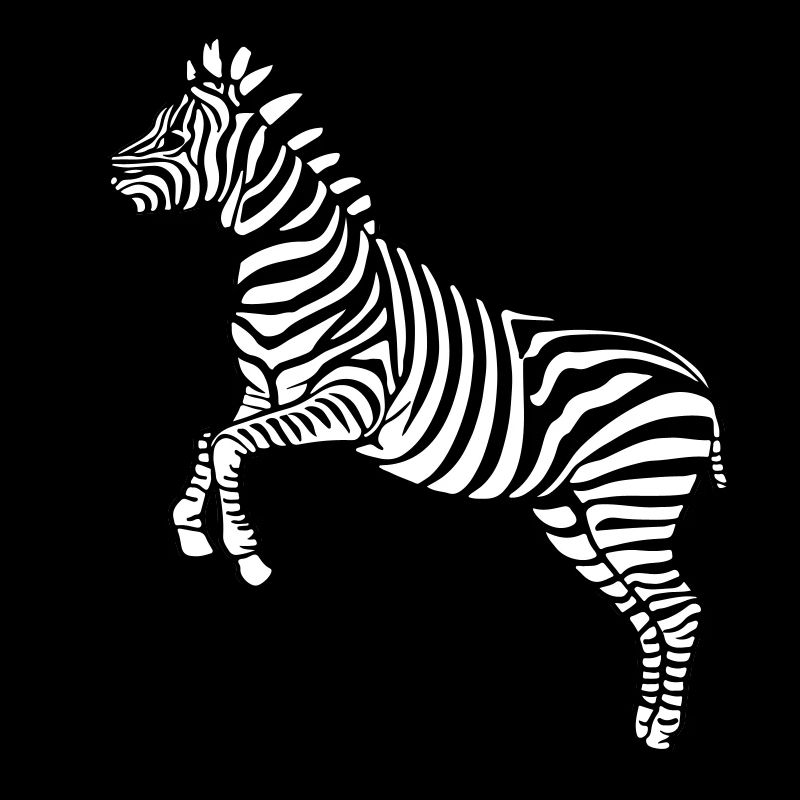 zèbre Botswana