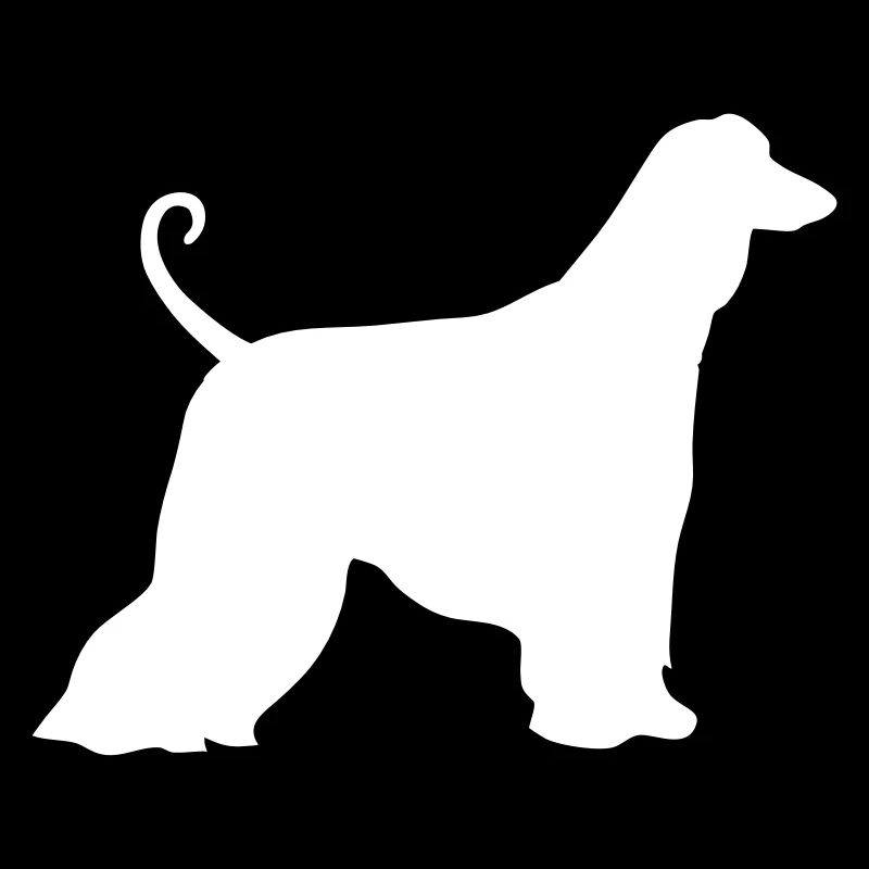 Afghan Hound