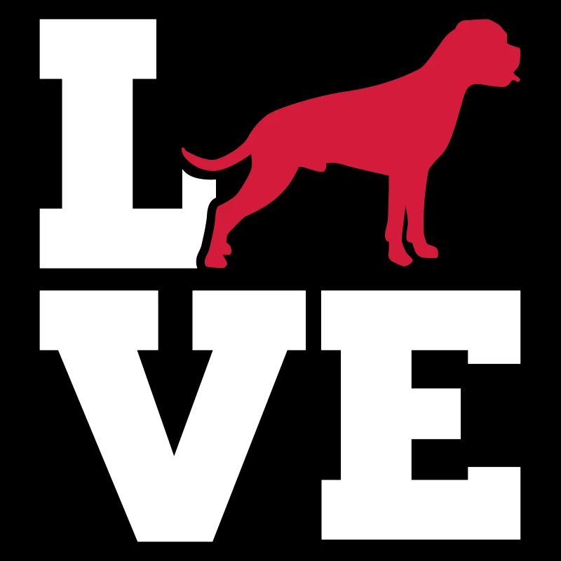 Boxer