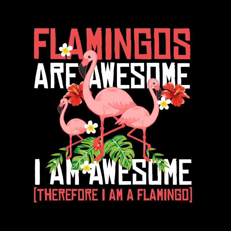 Flamingos sont super oiseau rose de longues jambes