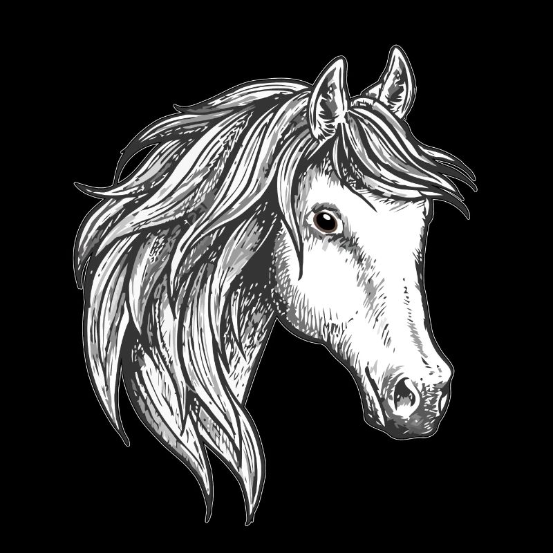 Cheval d'équitation cheval de cheval andalou d'équitation