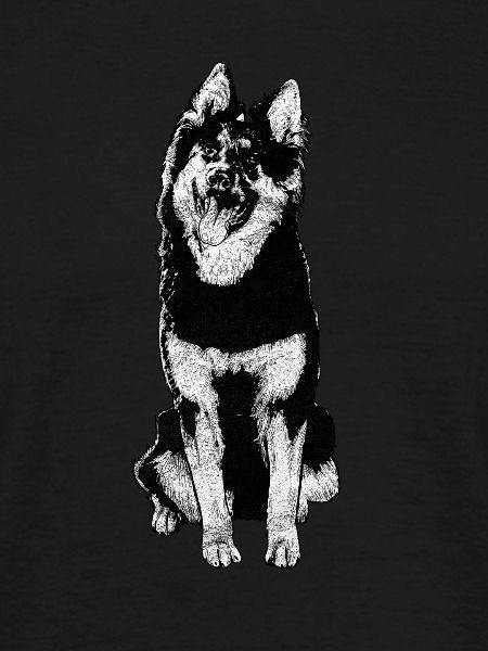 Bohemian Shepherd