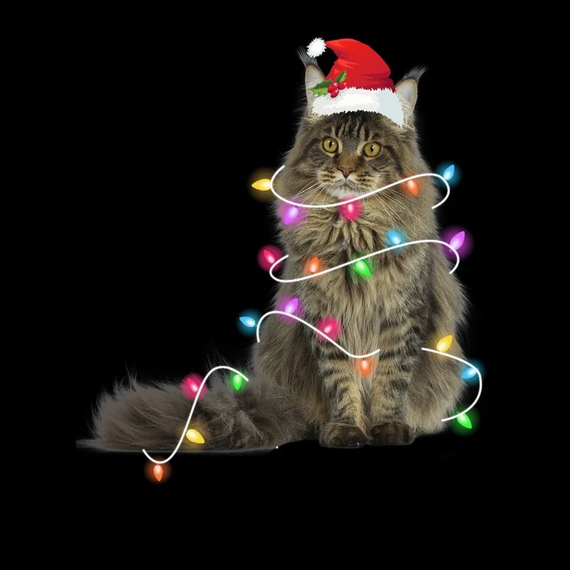 Katt - jul - vinter - fe-ljus