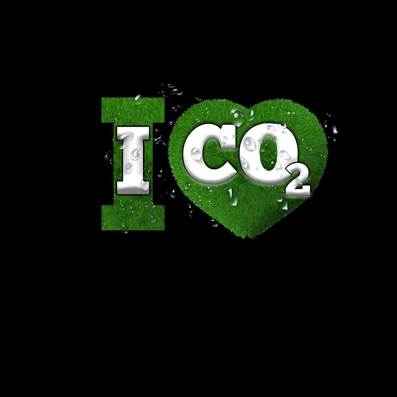 I Love co2 Klimawandel Leugner