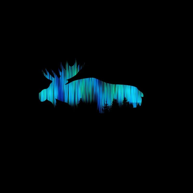 The Moose Aurora Borealis Design