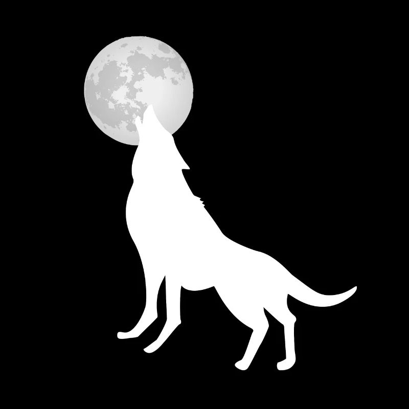 Wolf howls at the moon
