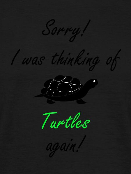 Turtle Turtle