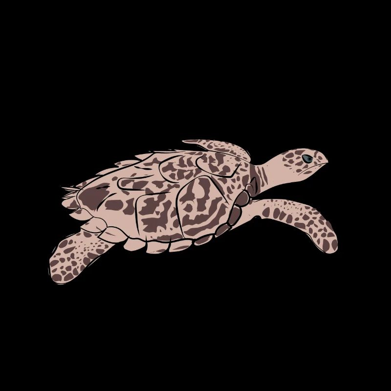 Tortues