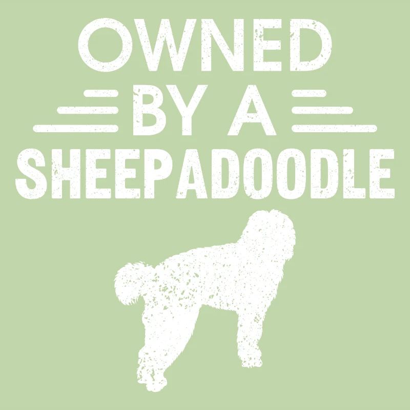 Sheepadoodle Doodle Hund