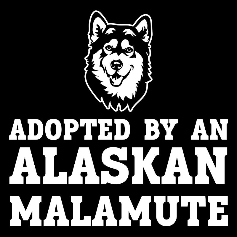 Alaskan Malamute Dog
