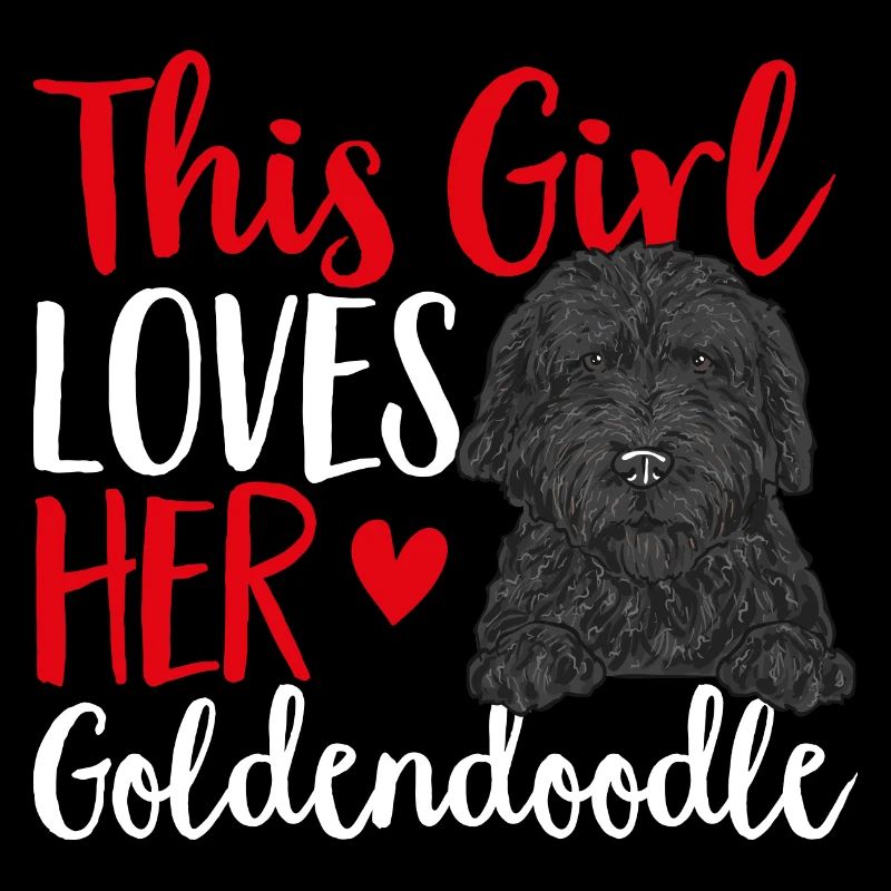 Chien Doodle Black Goldendoodle