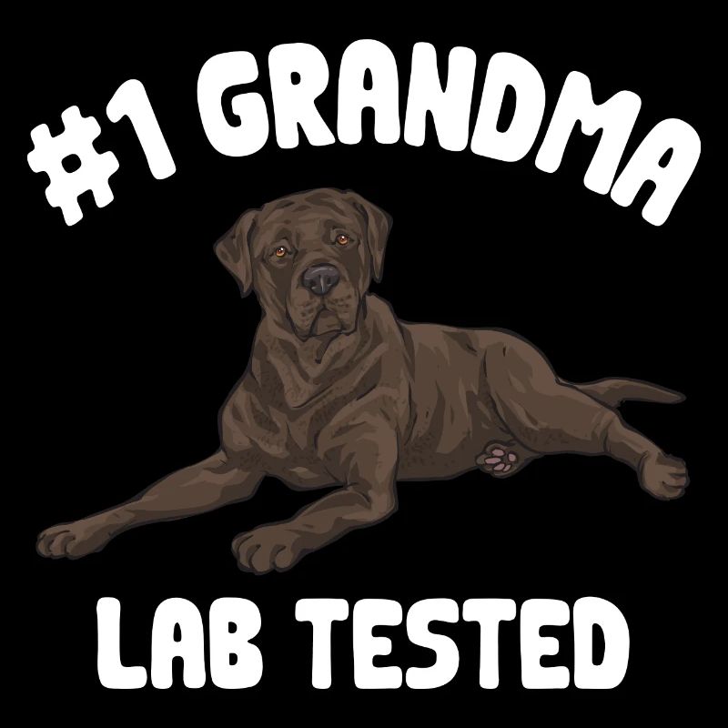 Schoko Brauner Labrador Retriever Hund