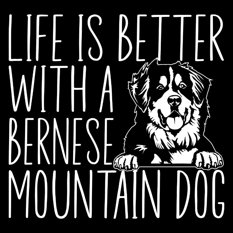 Bouvier bernois