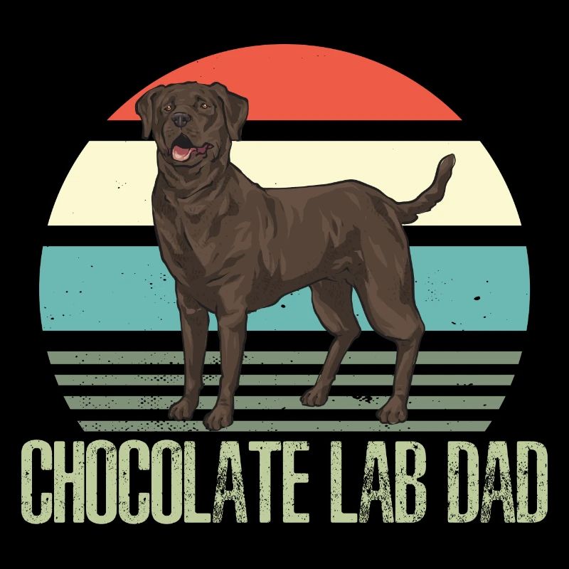 Chien Labrador Retriever chocolat