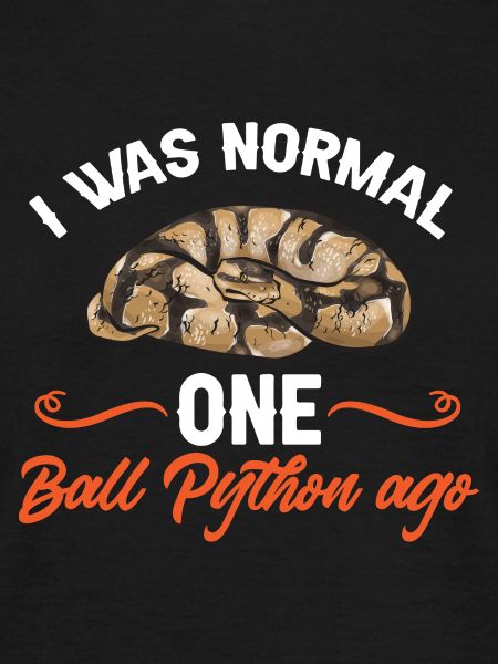 Ball Python Schlange Königspython