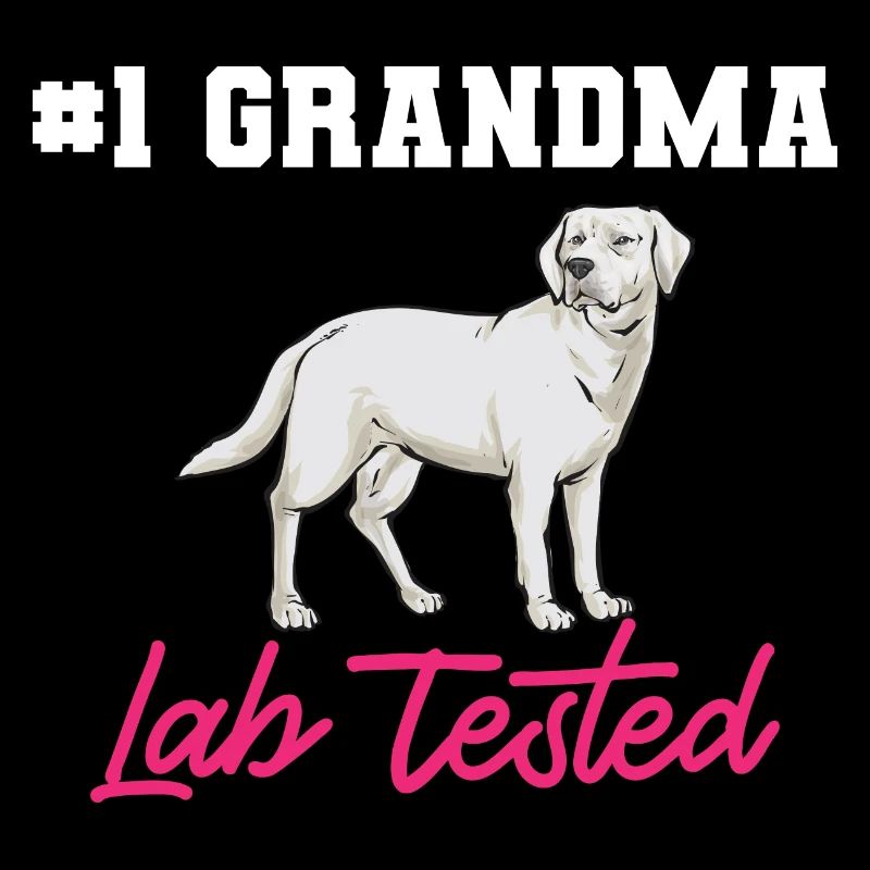 Labrador Retriever blanc Labrador Labrador blanc