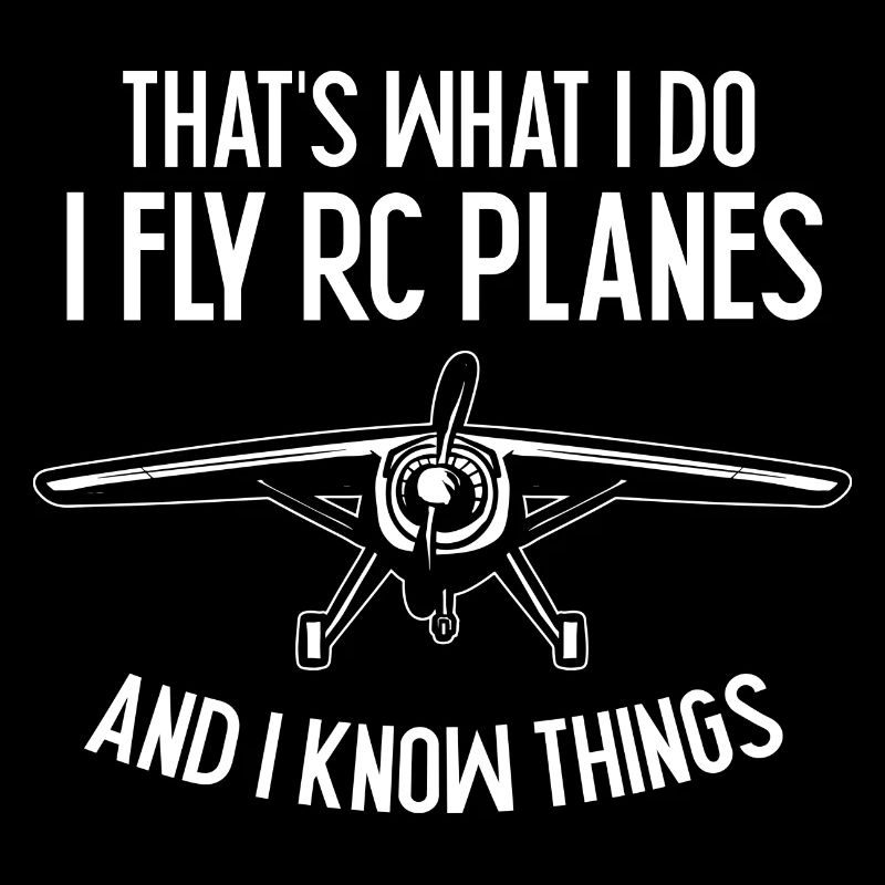 Remote Controlled Airplane Model Airplane