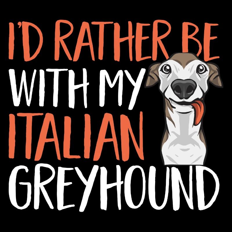 Lévrier italien Greyhound Chiens