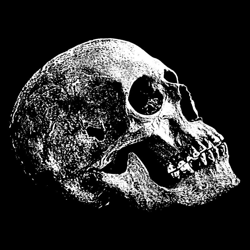 Skull