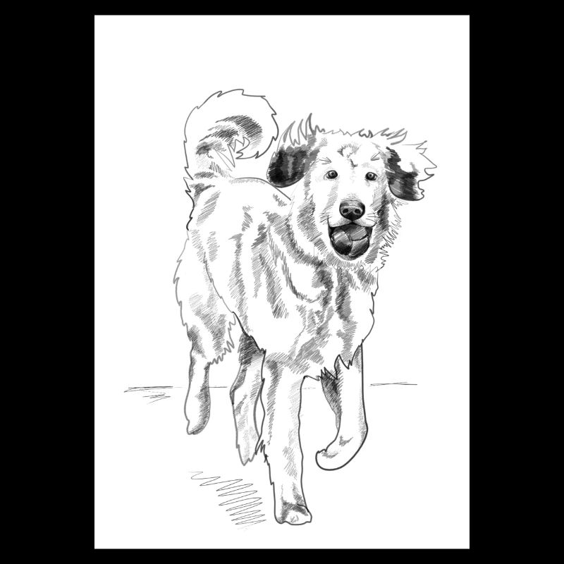 Illustration "Hund"