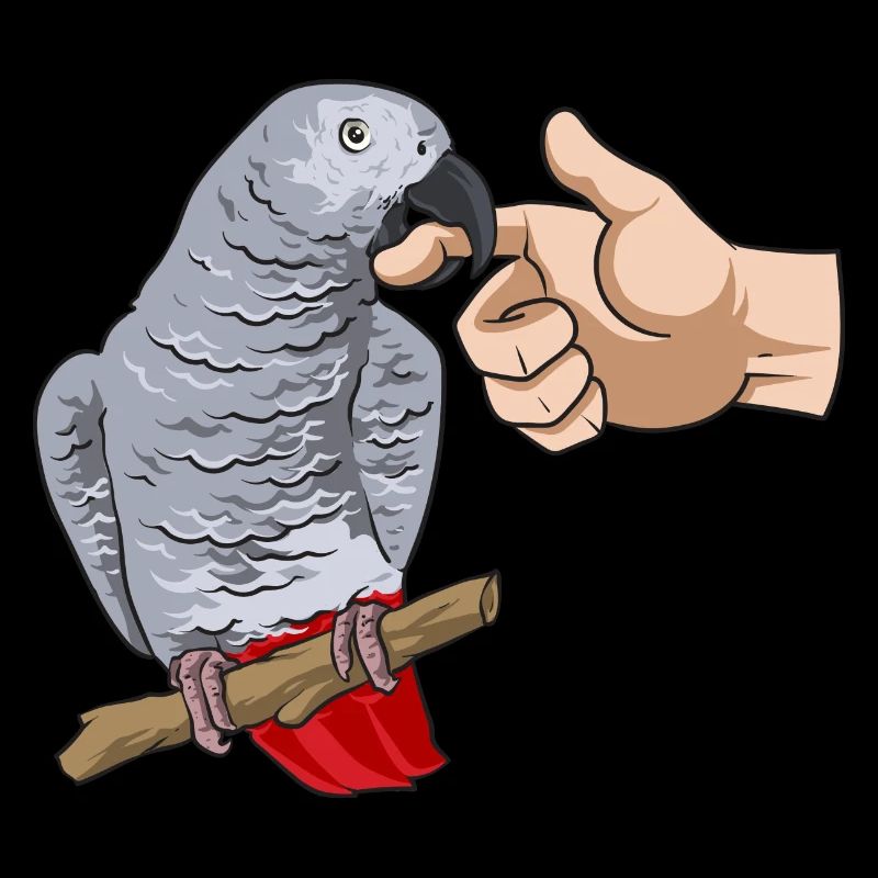Graupapagei Perroquet gris d’Afrique Papagei
