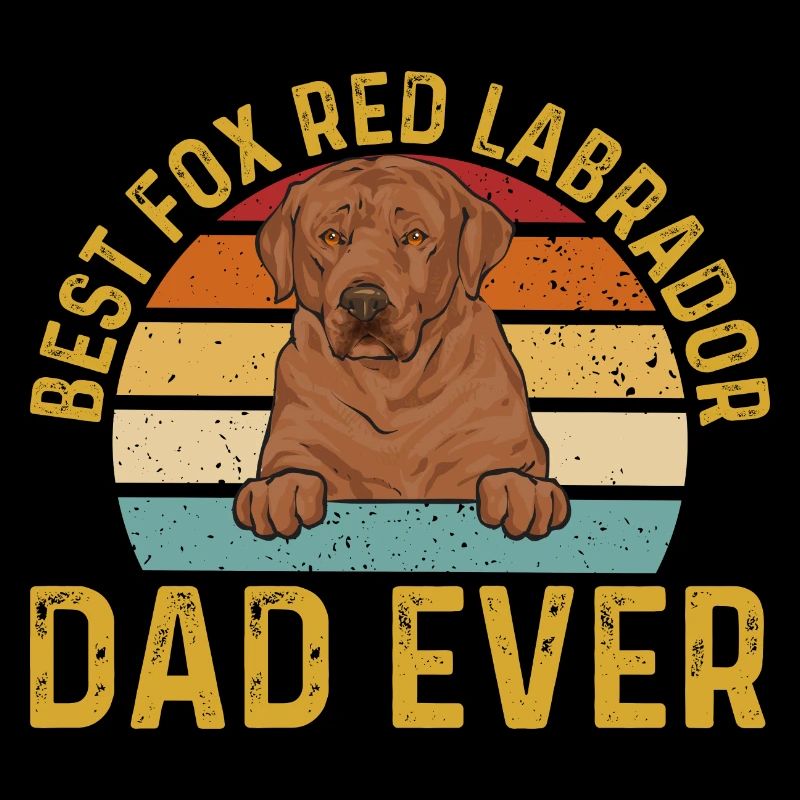 Foxred Labrador Fox Red Labrador Retriever
