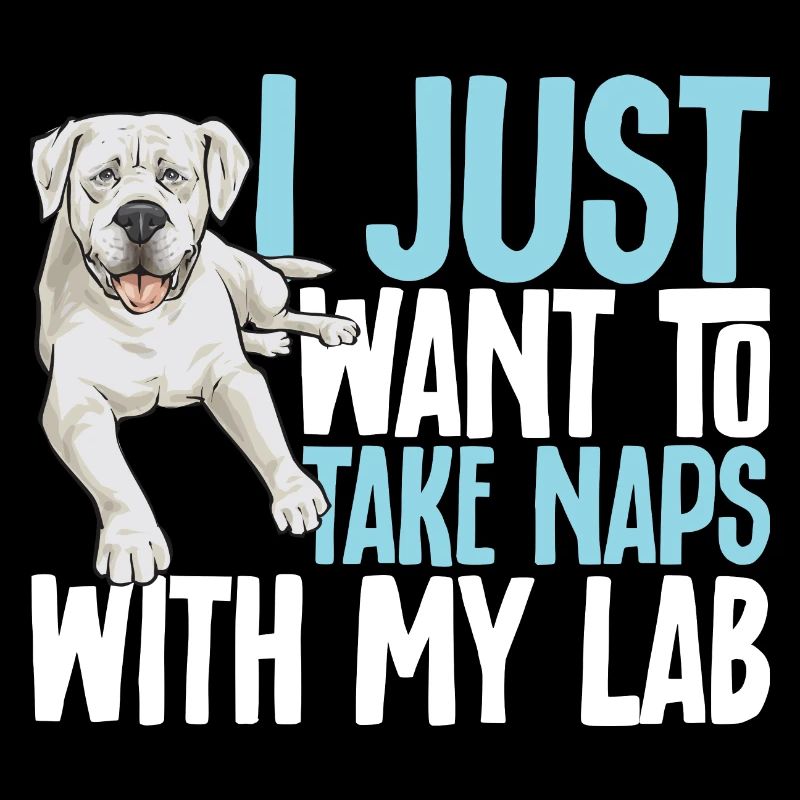 Labrador Retriever blanc Labrador Labrador blanc
