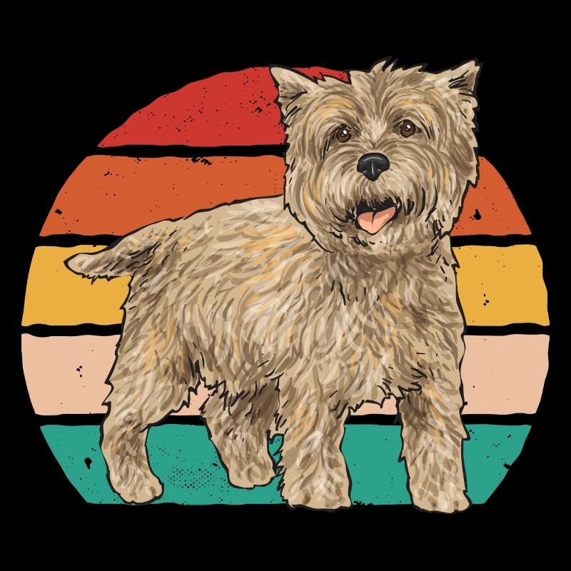 Cairn Terrier Chien