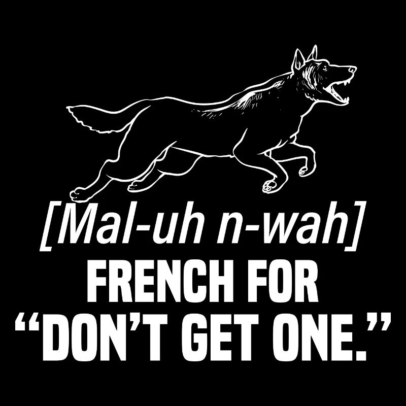 Malinois Belgian Shepherd Mechelaar Dog