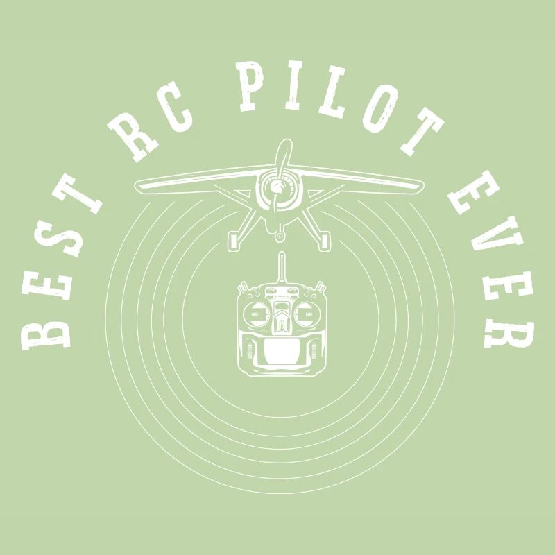 Modèle d’avion télécommandé