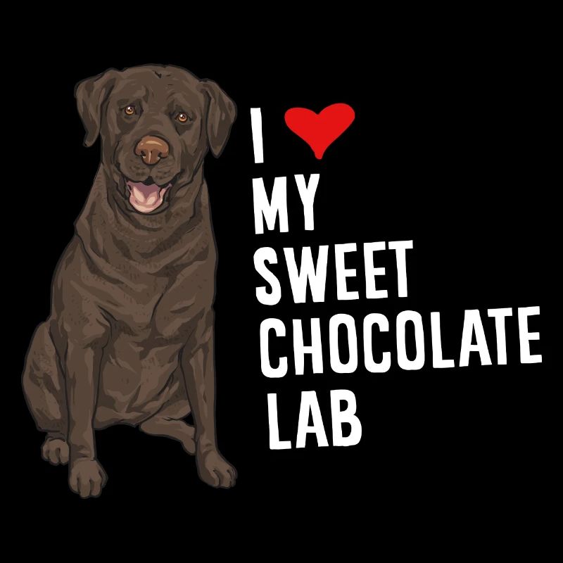 Chien Labrador Retriever chocolat