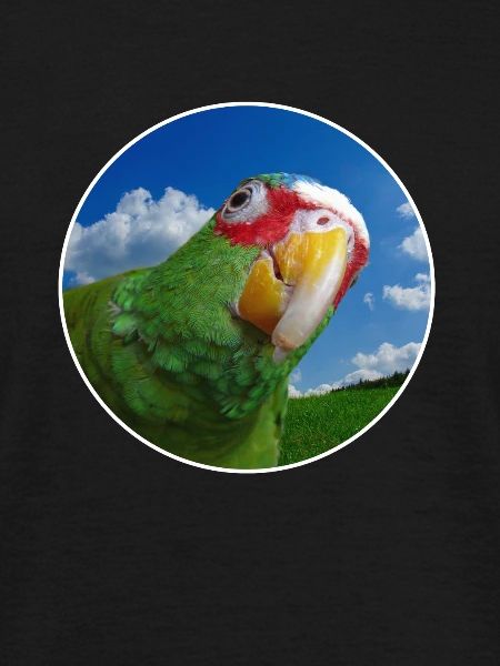 White-fronted Amazon