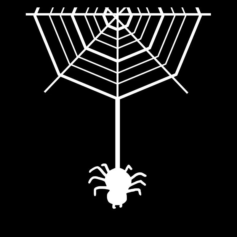 Araignée - araignées - araignée propriétaire - toile d'araignée