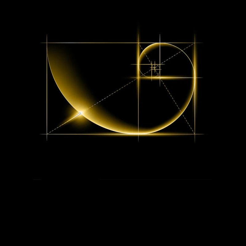 Fibonacci, section dorée