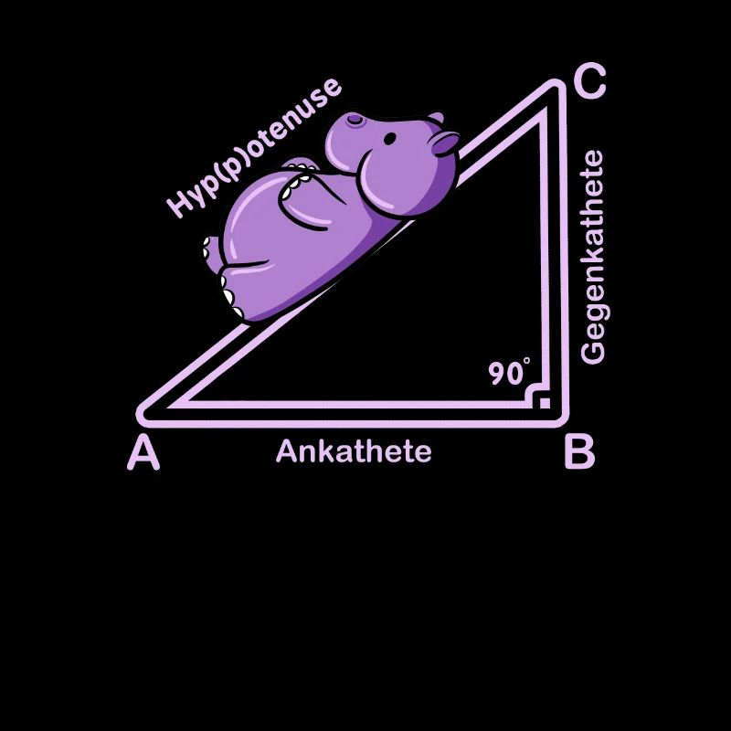 Hyppothenuse math Funny teacher