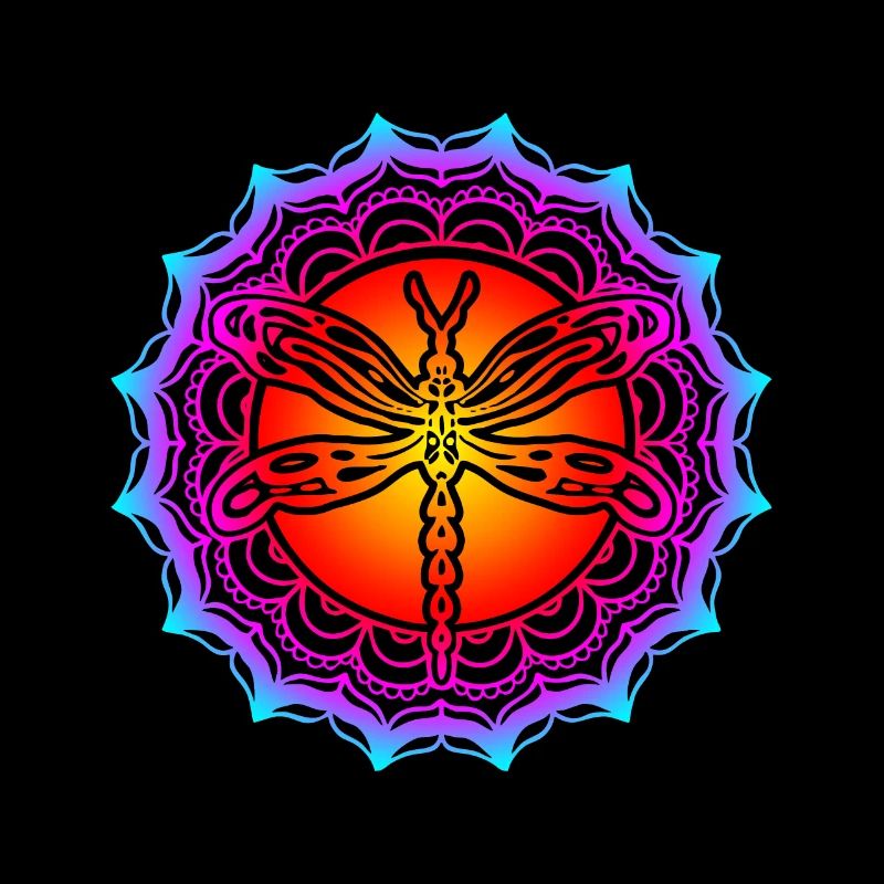 Libellule Libellule Relaxation Couleur