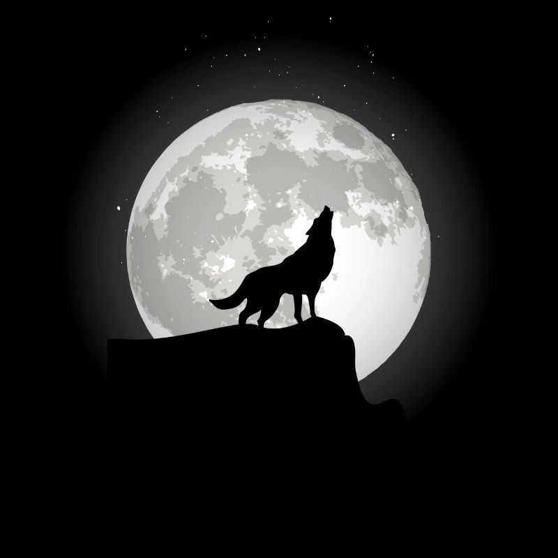 Wolf on a rock in the moonlight.