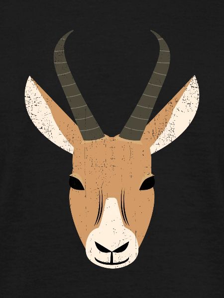 springbok